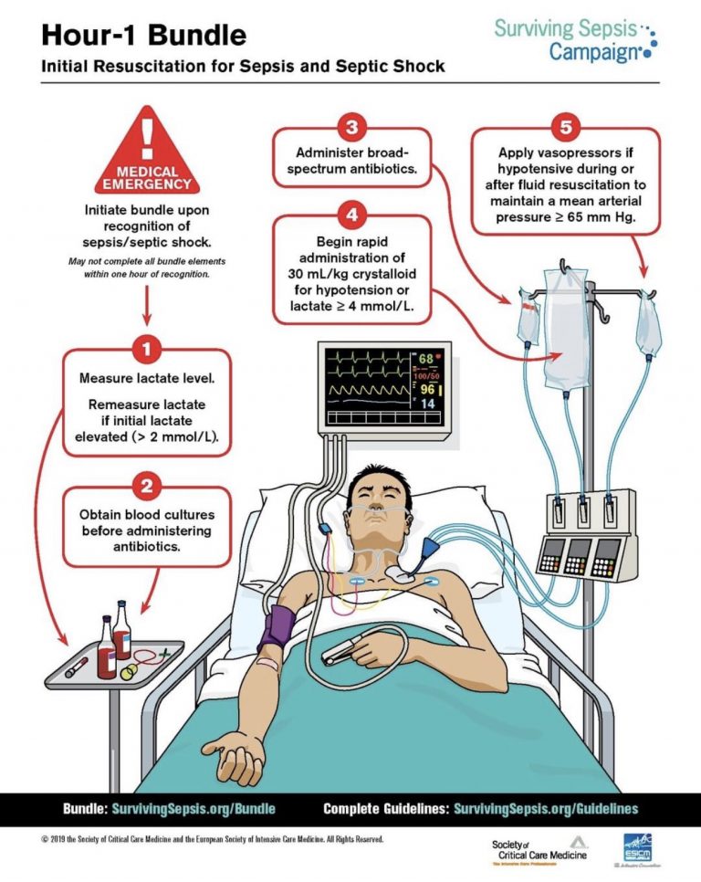 Initial resuscitation of sepsis and septic shock Amir Salari Official