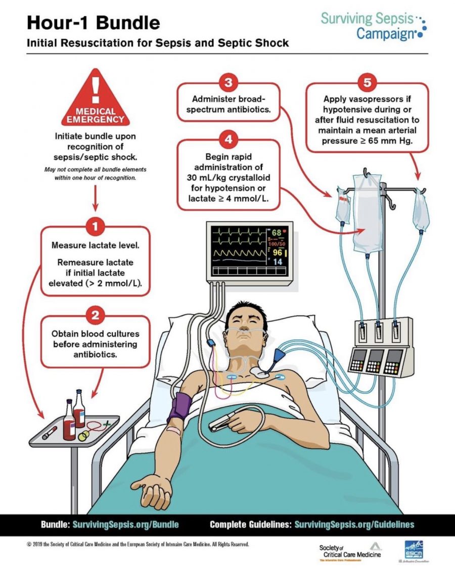 Initial resuscitation of sepsis and septic shock Amir Salari Official