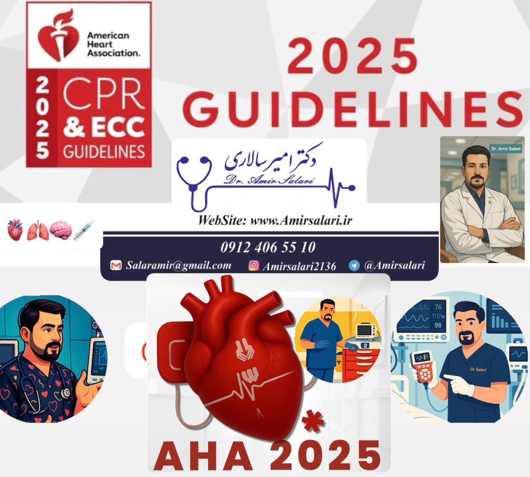 WhatsApp Image 2025-11-10 at 21.04.56